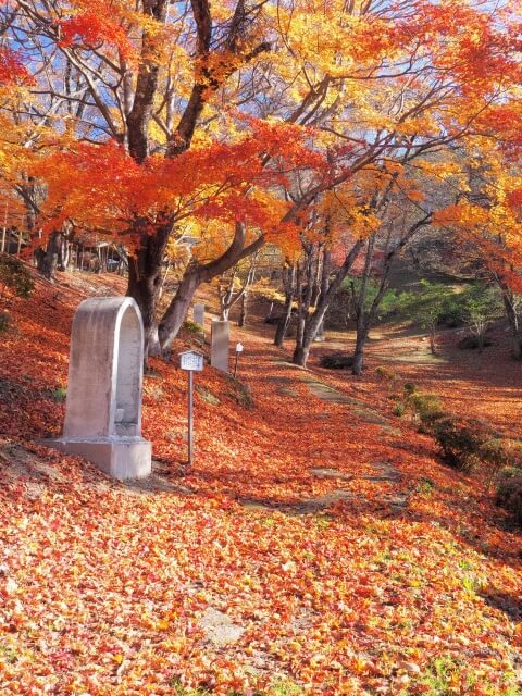 遠野市 紅葉の風景
