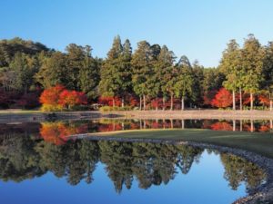 平泉町 毛越寺の紅葉
