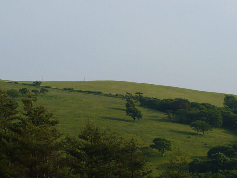 住田町 種山ヶ原の風景