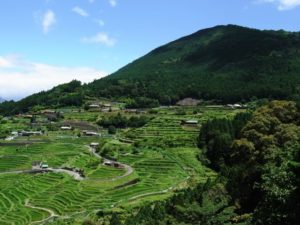 丸山千枚田 熊野市