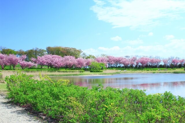 飯森山公園の風景