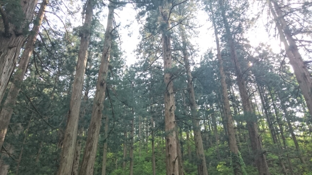 山形県金山町のプロパンガス平均価格と最安値料金