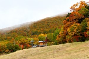 蔵王の紅葉 上山市