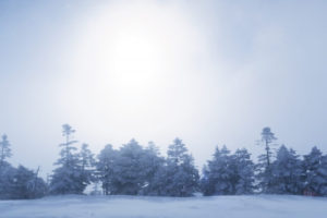 湯沢市の雪景色