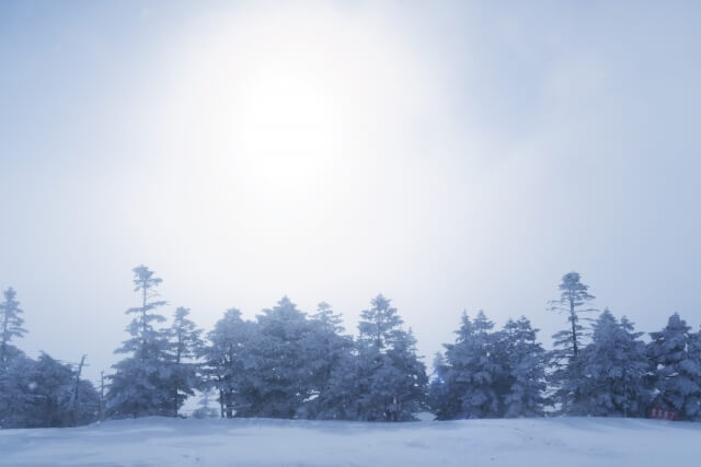 湯沢市の雪景色