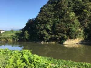 大江町を流れる最上川