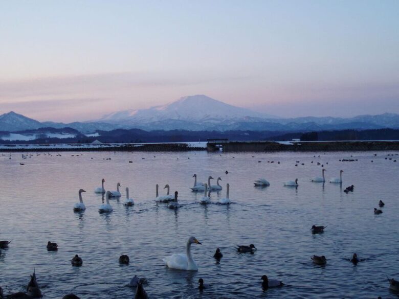 鳥海山の遠景 真室川町