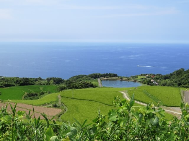 東後畑の棚田 長門市