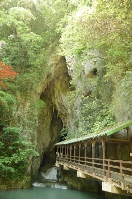 秋芳洞 美祢市