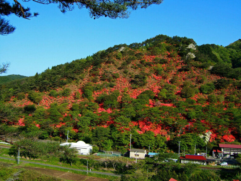 矢祭山