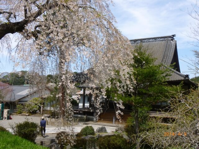 浄専寺