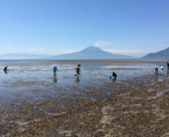 重富干潟