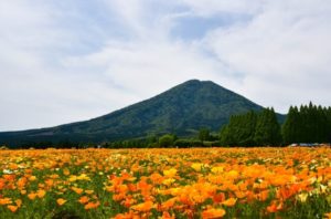 小林市のプロパンガス最安値料金 プロパンガス 料金比較サイト 小林市のプロパンガス最安値料金 プロパンガス 料金比較サイト