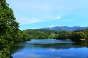 籾木池