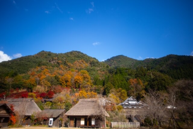 西米良村の紅葉