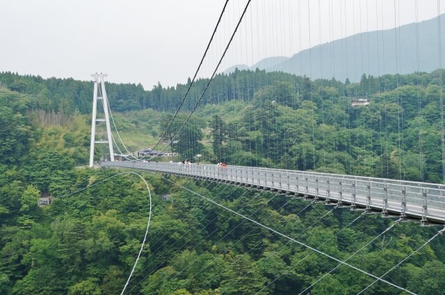 九重夢大吊橋