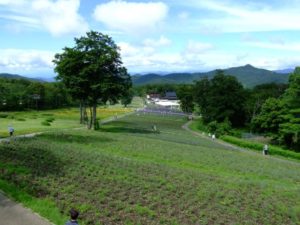 玉原高原