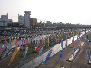 加茂川の鯉のぼり