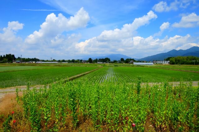 五泉市のプロパンガス平均価格と最安値料金