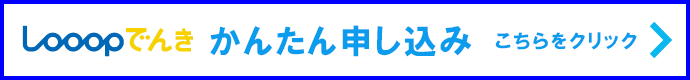 ループ電気申し込みページ