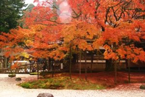 九年庵
