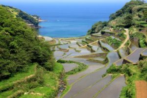 浜野浦の棚田