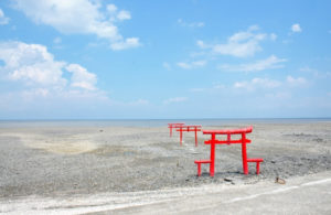 大魚神社の海中鳥居