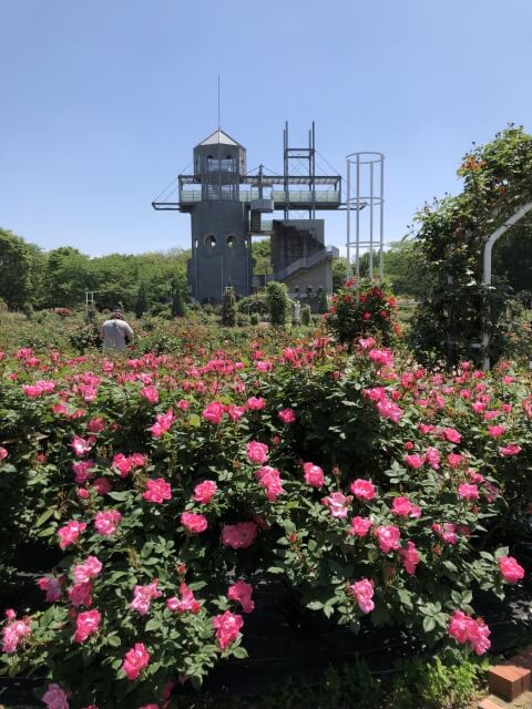 合志市のプロパンガス最安値料金