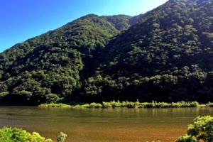 戸沢村 最上川の流れ