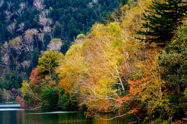 然別湖の紅葉