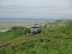 小清水原生花園と電車