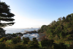 南三陸の海岸