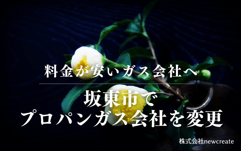坂東市でプロパンガス会社を変更する