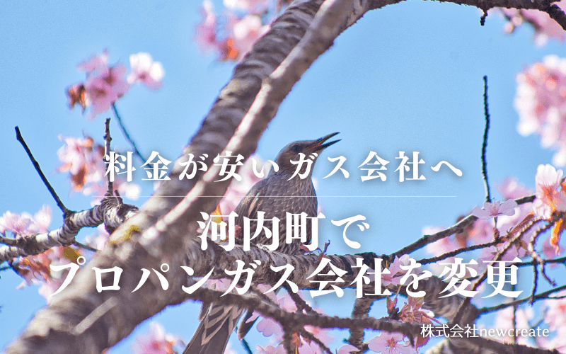 河内町でプロパンガス会社を変更する