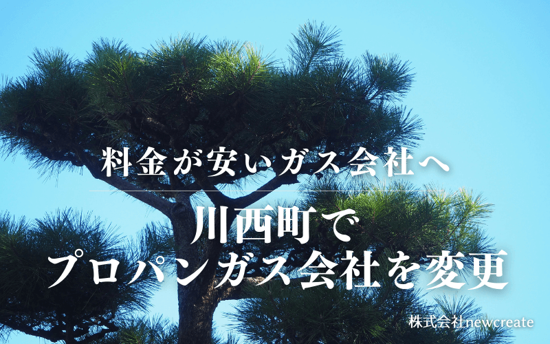 山形県川西町でプロパンガス会社を変更する