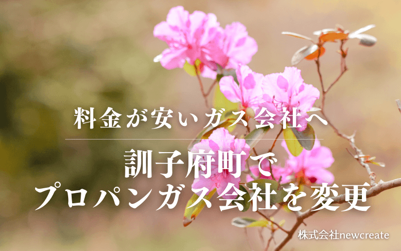 訓子府町でプロパンガス会社を変更する