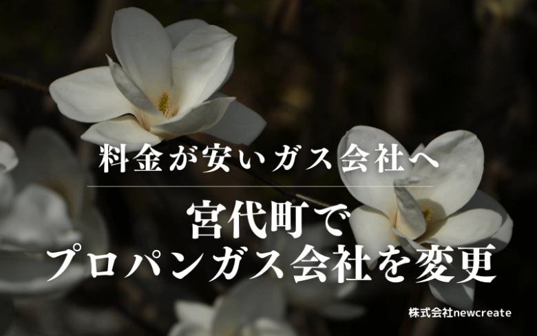 宮代町でプロパンガス会社を変更する