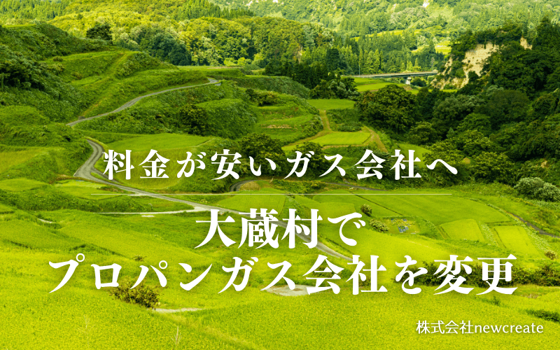 大蔵村でプロパンガス会社を変更する