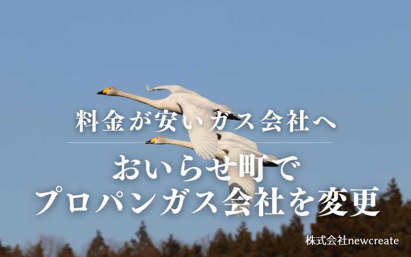おいらせ町でプロパンガス会社を変更する