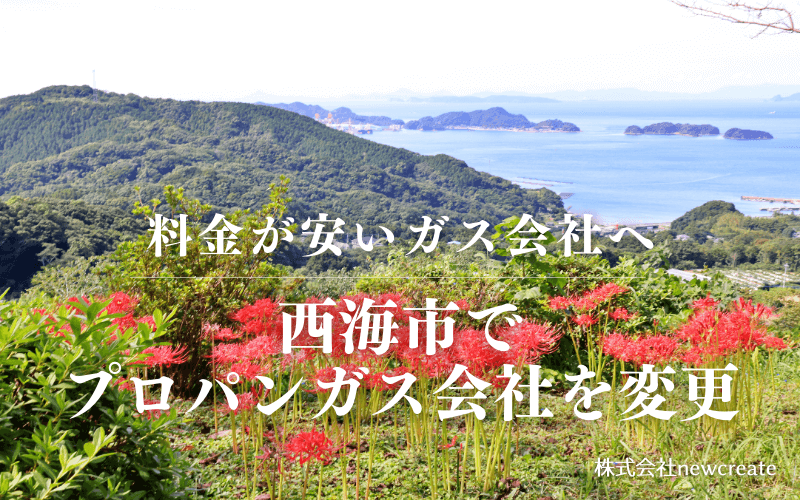 西海市でプロパンガス会社を変更する