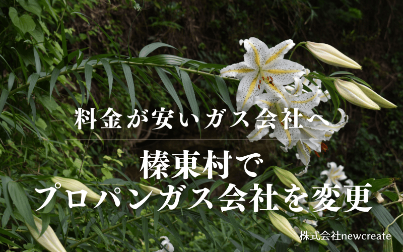 榛東村でプロパンガス会社を変更する