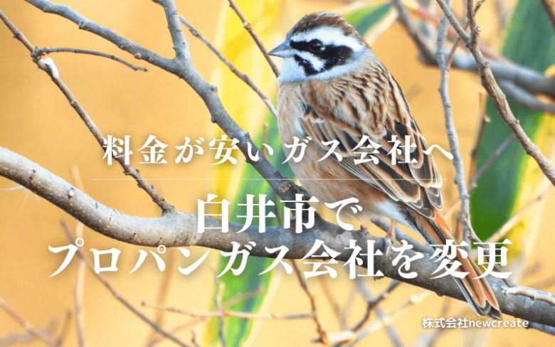 白井市でプロパンガス会社を変更する