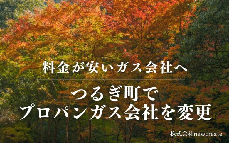 つるぎ町でプロパンガス会社を変更する