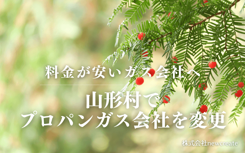 山形村でプロパンガス会社を変更する