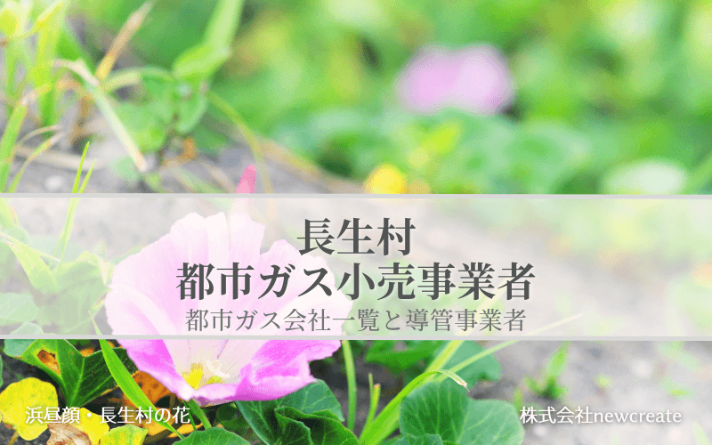 【長生村で都市ガス会社は選べるのか？】小売り事業者一覧