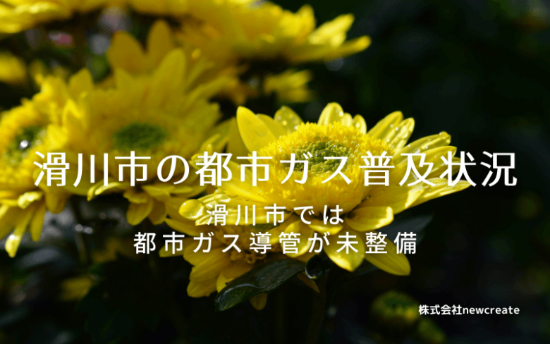 滑川市の都市ガス普及状況