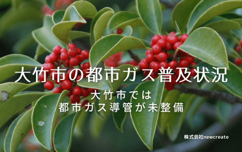 大竹市の都市ガス普及状況