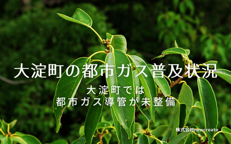 大淀町の都市ガス普及状況