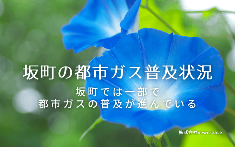 坂町の都市ガス普及状況