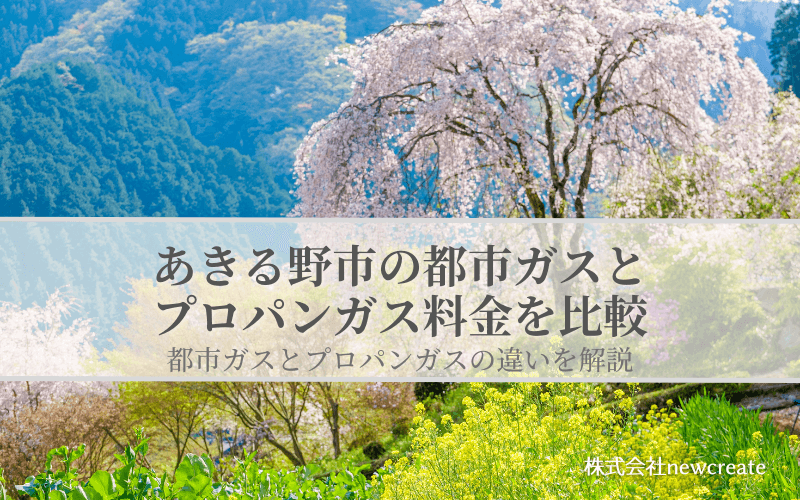 【あきる野市版】都市ガスとプロパンガスの料金を比較